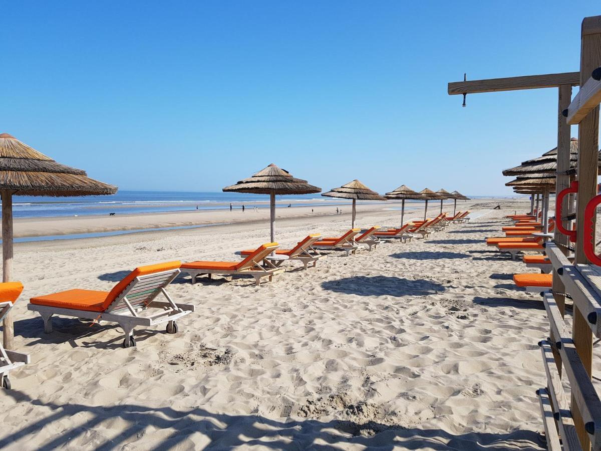 Hotel B&B Seahorse Katwijk aan Zee Zewnętrze zdjęcie